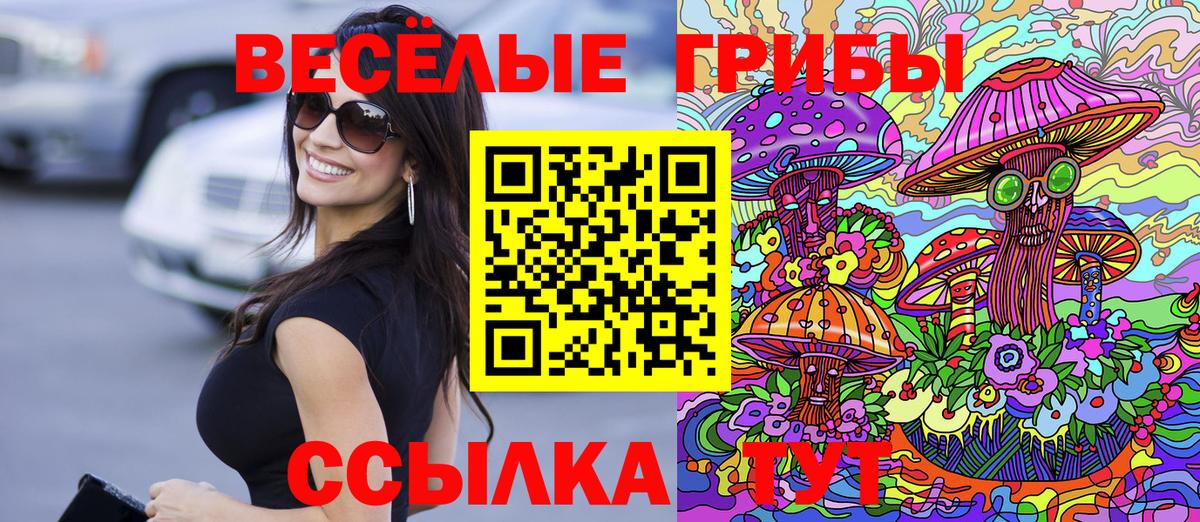 Карачаевск  Галлюциногенные грибы прущие грибы  Вход с VPN  Псилоцибиновые грибы Magic Shrooms 