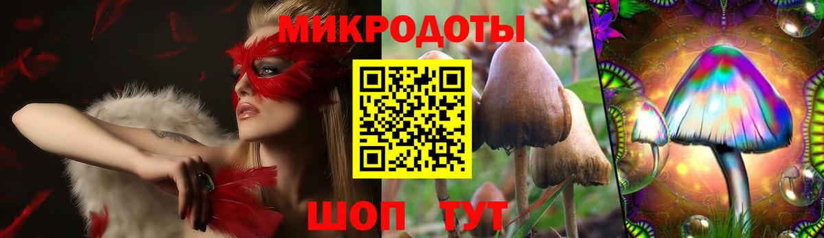 Галлюциногенные грибы MAGIC MUSHROOMS Карачаевск